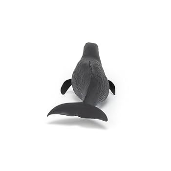 Amazon.co.jp: パポ56036マッコウクジラ : おもちゃ